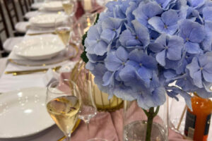 Akcie u nás Akcie u nás