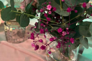 Akcie u nás Akcie u nás